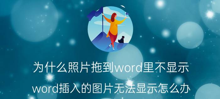 为什么照片拖到word里不显示 word插入的图片无法显示怎么办？